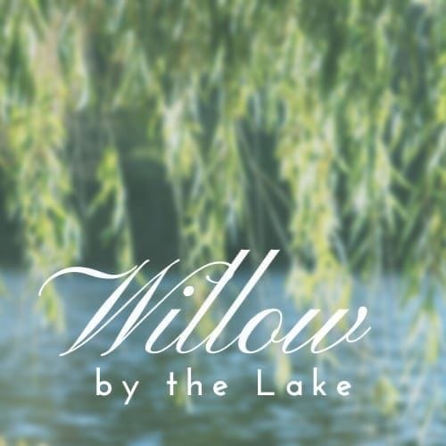 Willow by the Lake