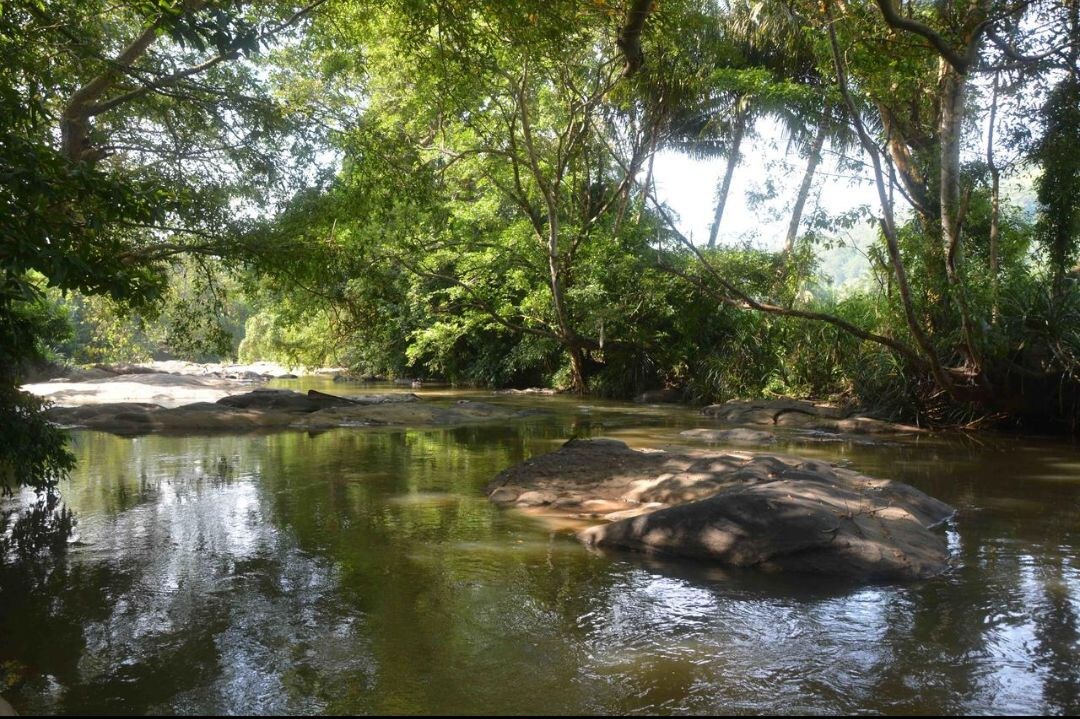 Kaminra River Garden
