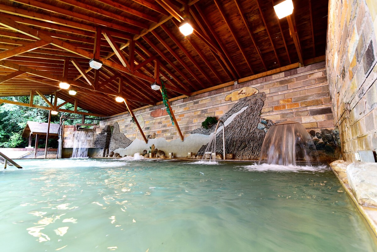 庐山温泉四人温泉套房，可享受免费的温泉游泳池泡汤设施、温泉鱼，邻近清境农场、奥万大、合欢山知名景点