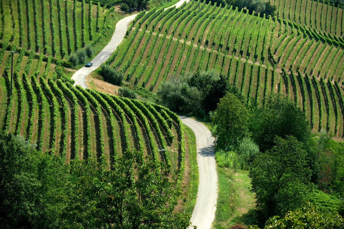 Corte别墅， Langhe Piedmont