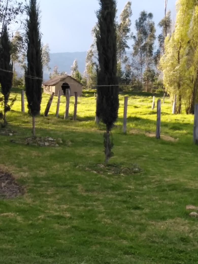 CABAÑA FINCA EL CORRAL, Descanso en la naturaleza