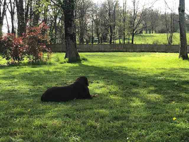 Farm Gîte surrounded by nature, close to lakes.