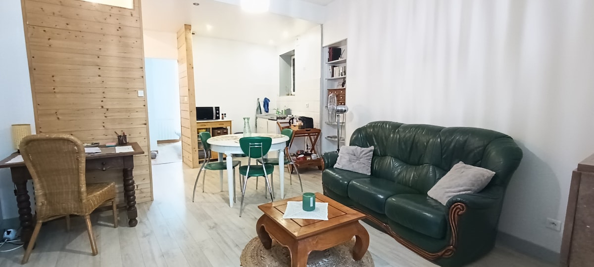 Appartement cosy à 2 pas des rues piétonnes