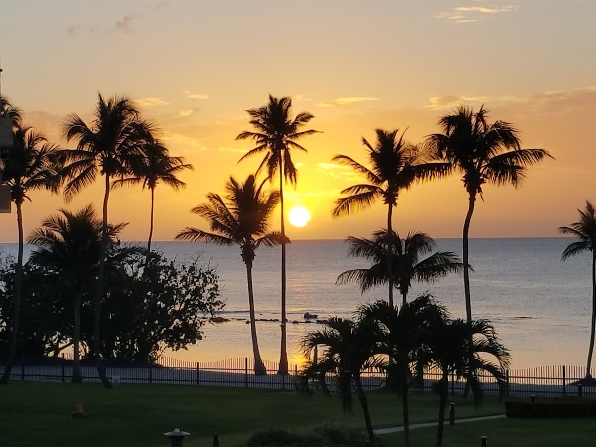 令人惊叹的海滨海滨1卧室公寓， Cabo Rojo