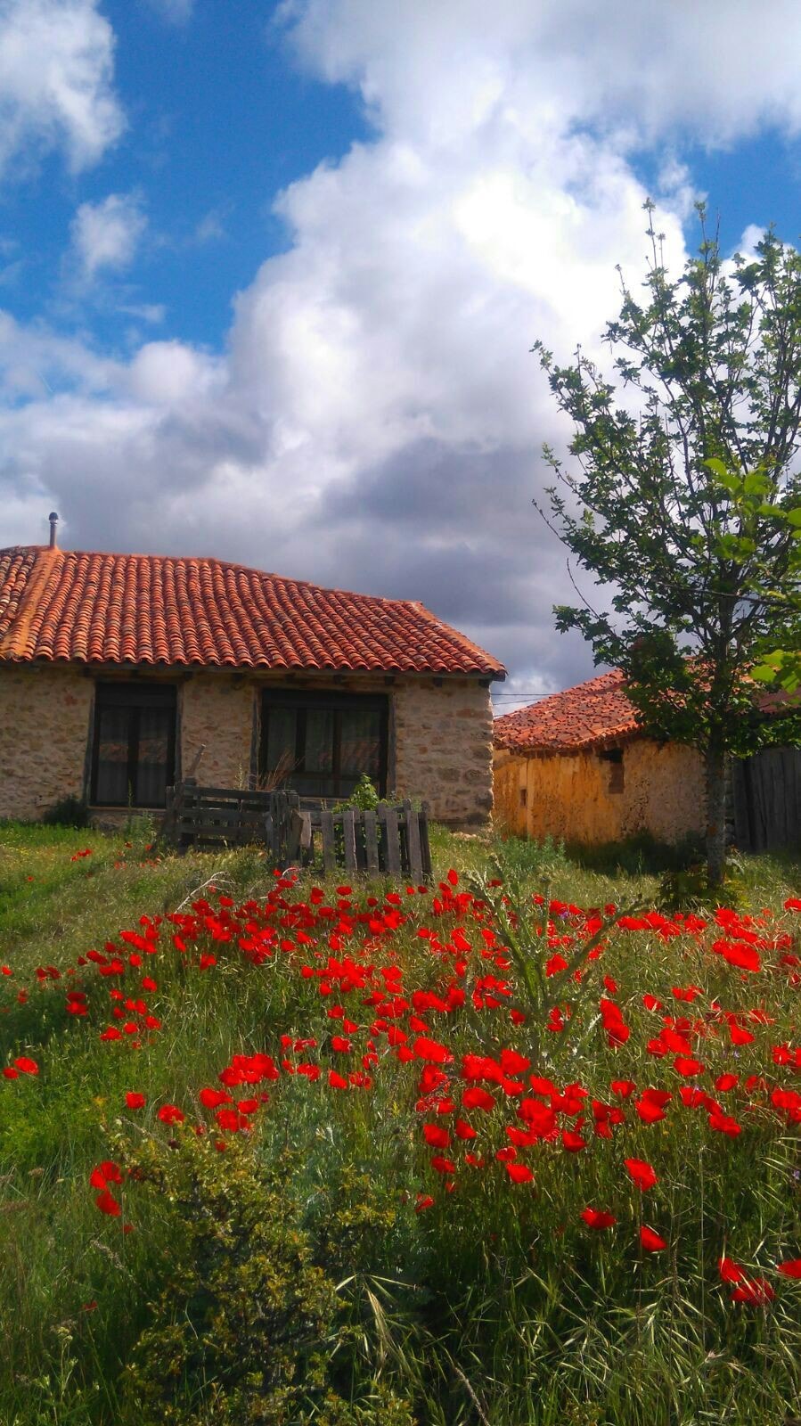 Casa "La Taina"