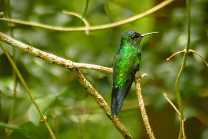 伊瓜苏港 (Puerto Iguazú)的民宿