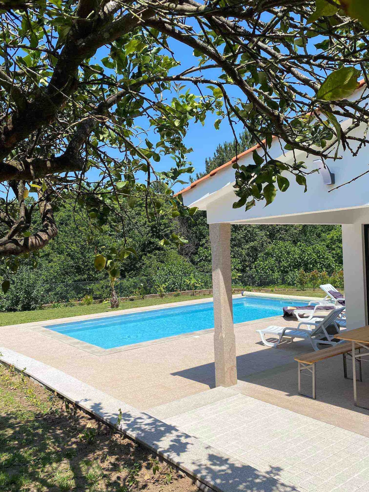 葡萄牙北部带泳池的典型房屋