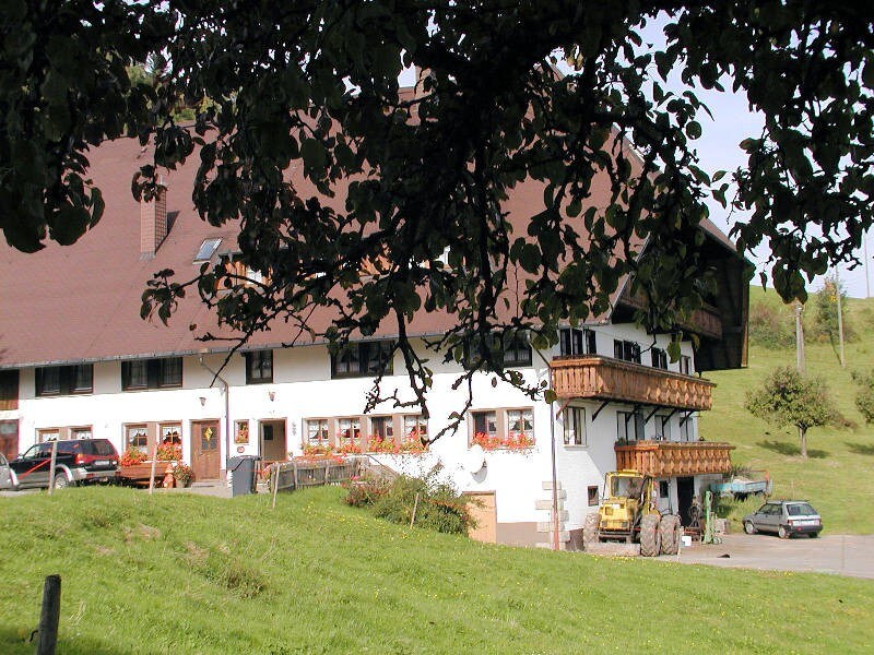 Ferienhof Schanzenberghof, (Hornberg)