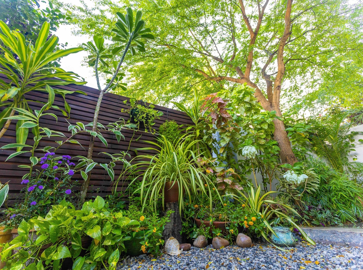 Award winning designer studio+garden in prime area