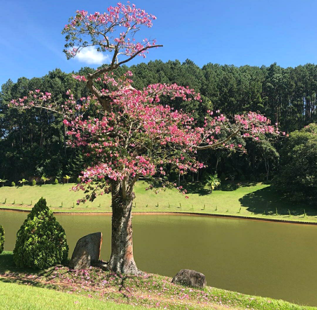 Casa de Campo no Paraíso