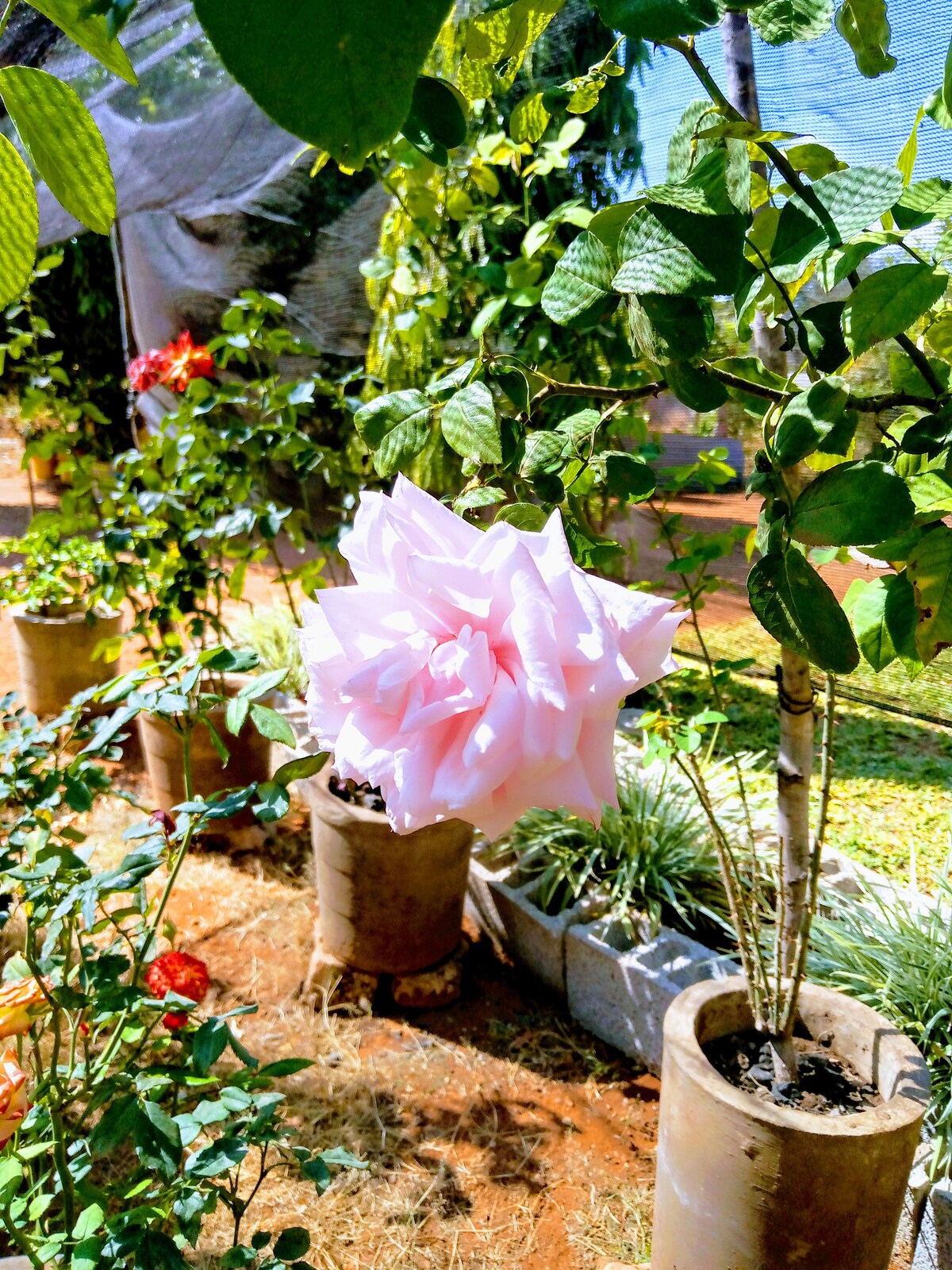 A garden studio apartment in real Africa