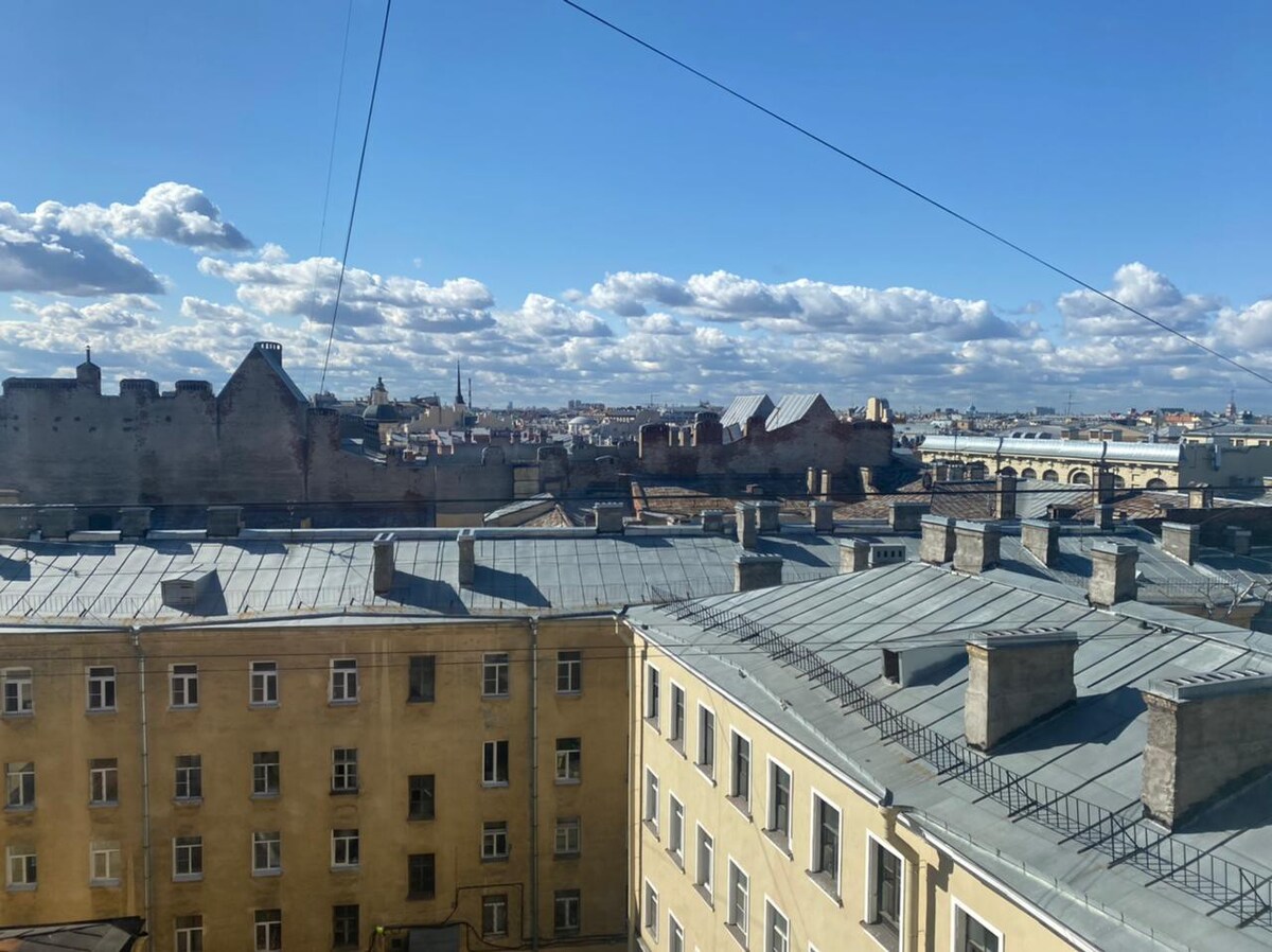 圣彼得堡的屋顶
