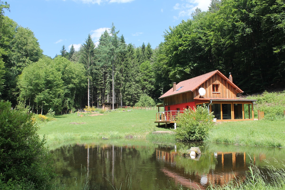 Chalet isolé en forêt et son petit étang de pêche