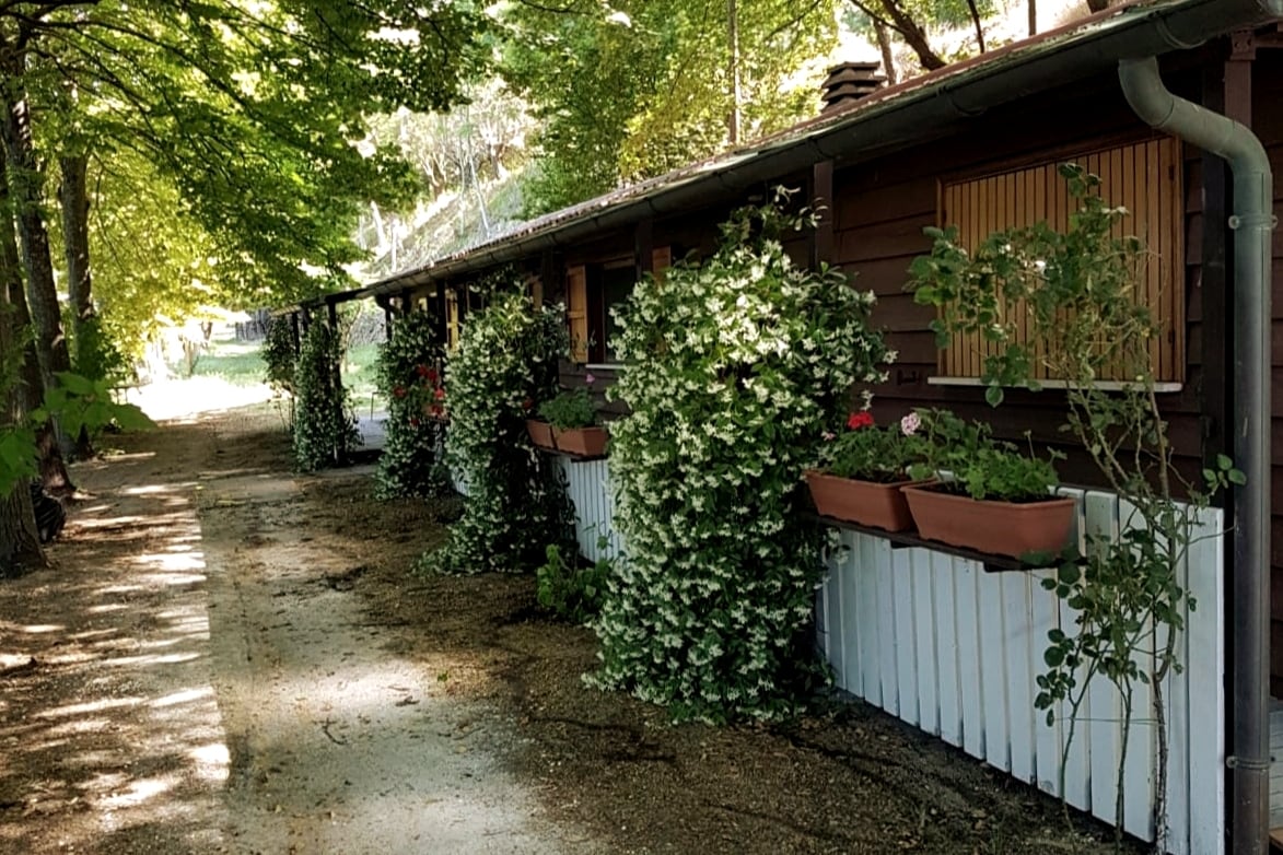 The House of Three Cypresses