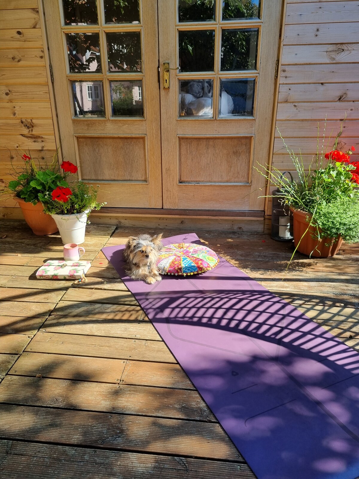 Barn Owl Nest - peaceful Yoga Studio with hot tub