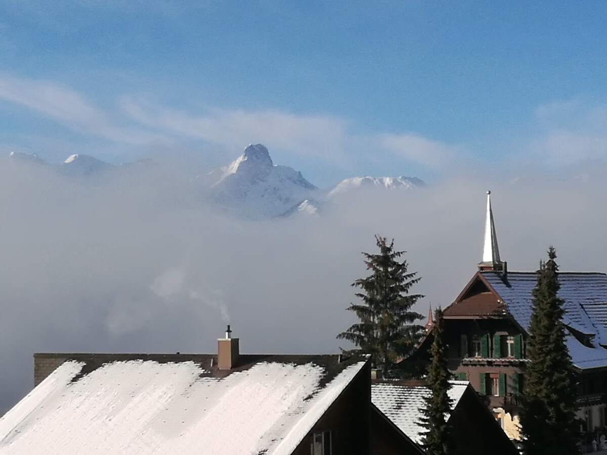 Ackaert Ferienwohnung Top of Thun