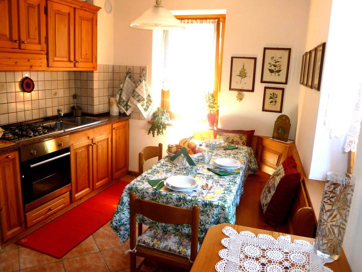 Auronzo di Cadore的舒适公寓