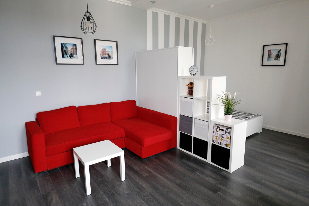 Apartament Golden Frog