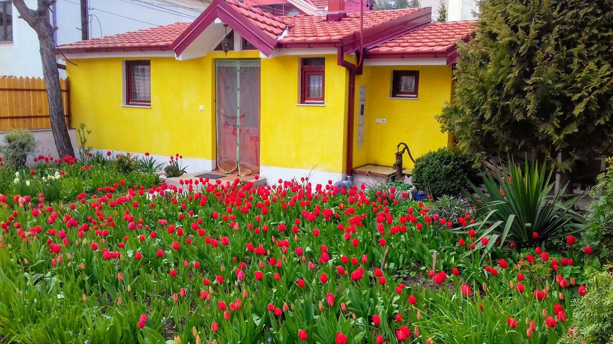 Yelow House