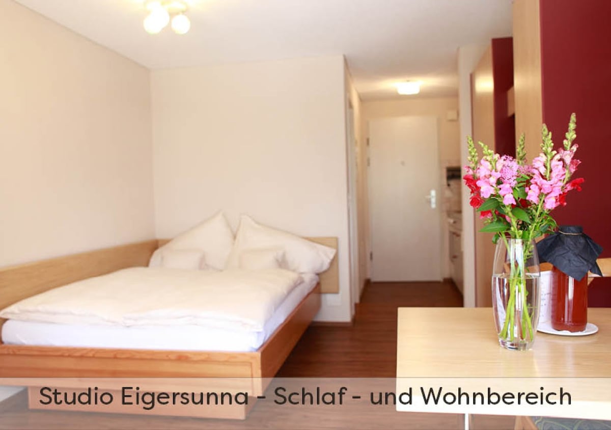 Studio Eigersunna with kingsize bed and terrace with mountain view in the heart of Grindelwald