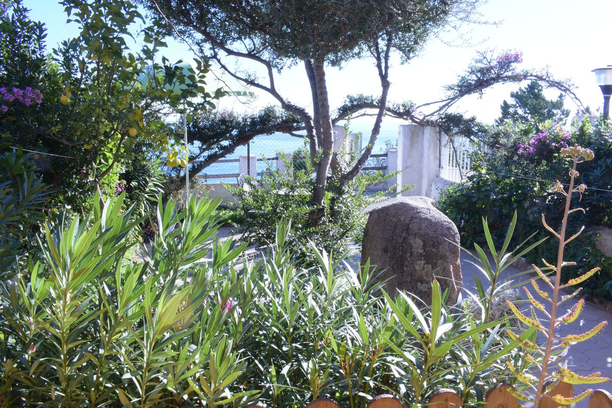 Cala Gonone Garden with a View