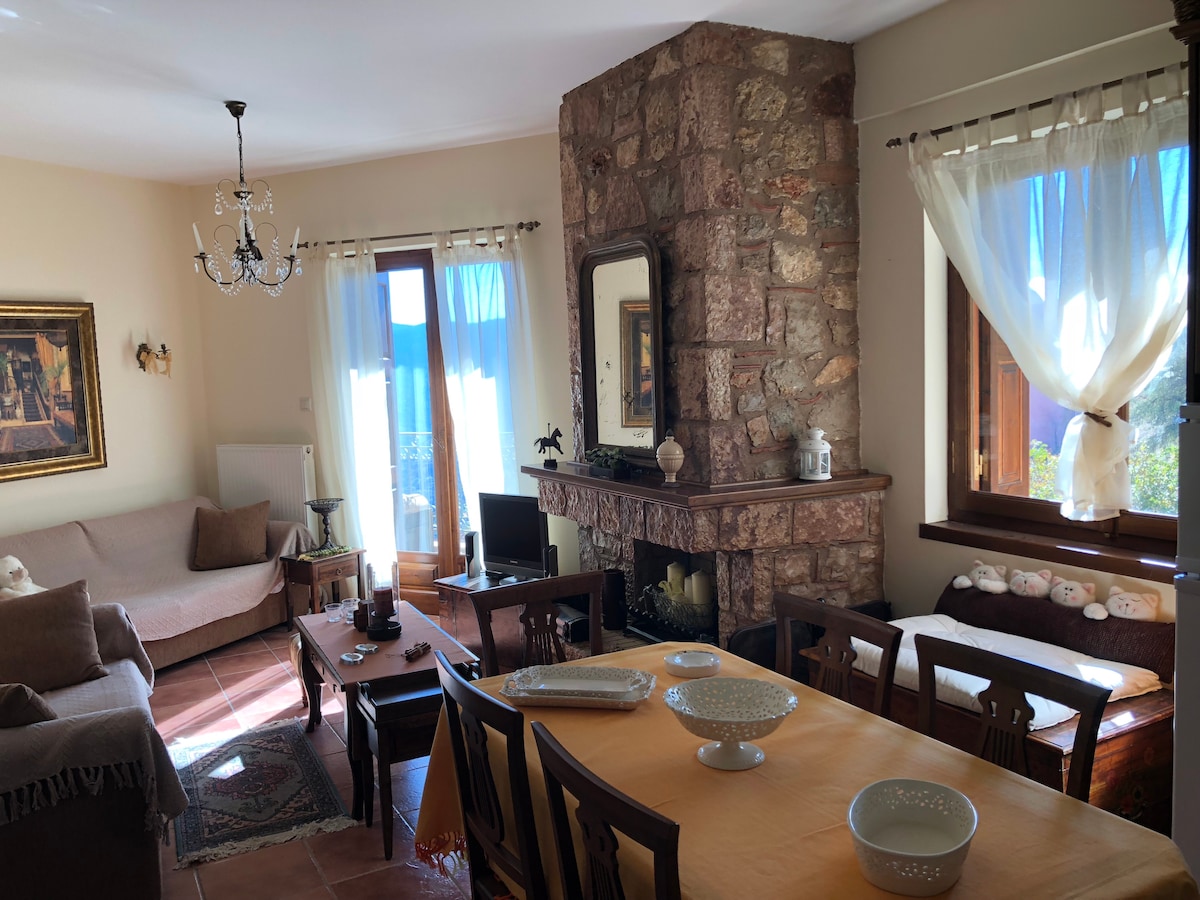 Arachova Cozy Apartment