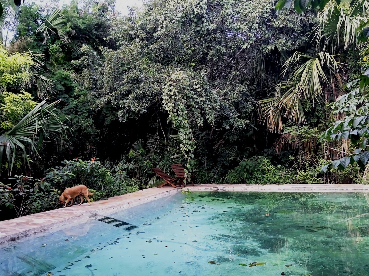 Mucuy, Cabañas Pájaro Azul,  Ruta Puuc, Akil