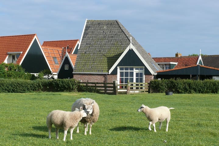 Den Hoorn Texel的民宿