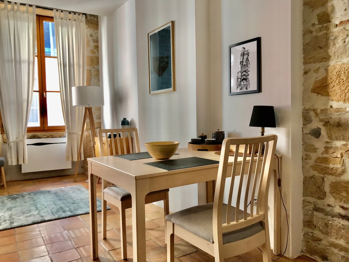 里昂的舒适单间公寓，位于Croix-Rousse。