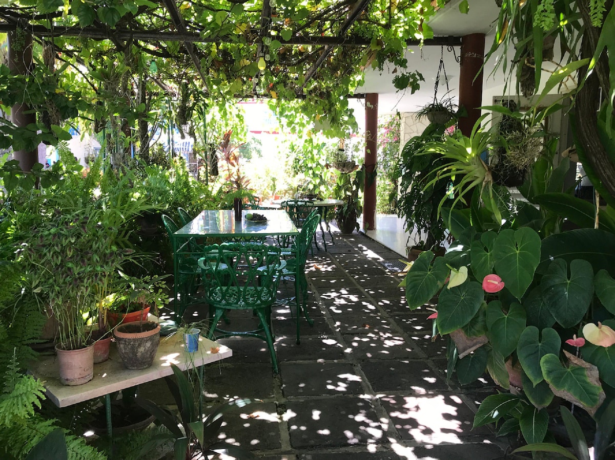 Buganvilia村。带漂亮花园的独立房间