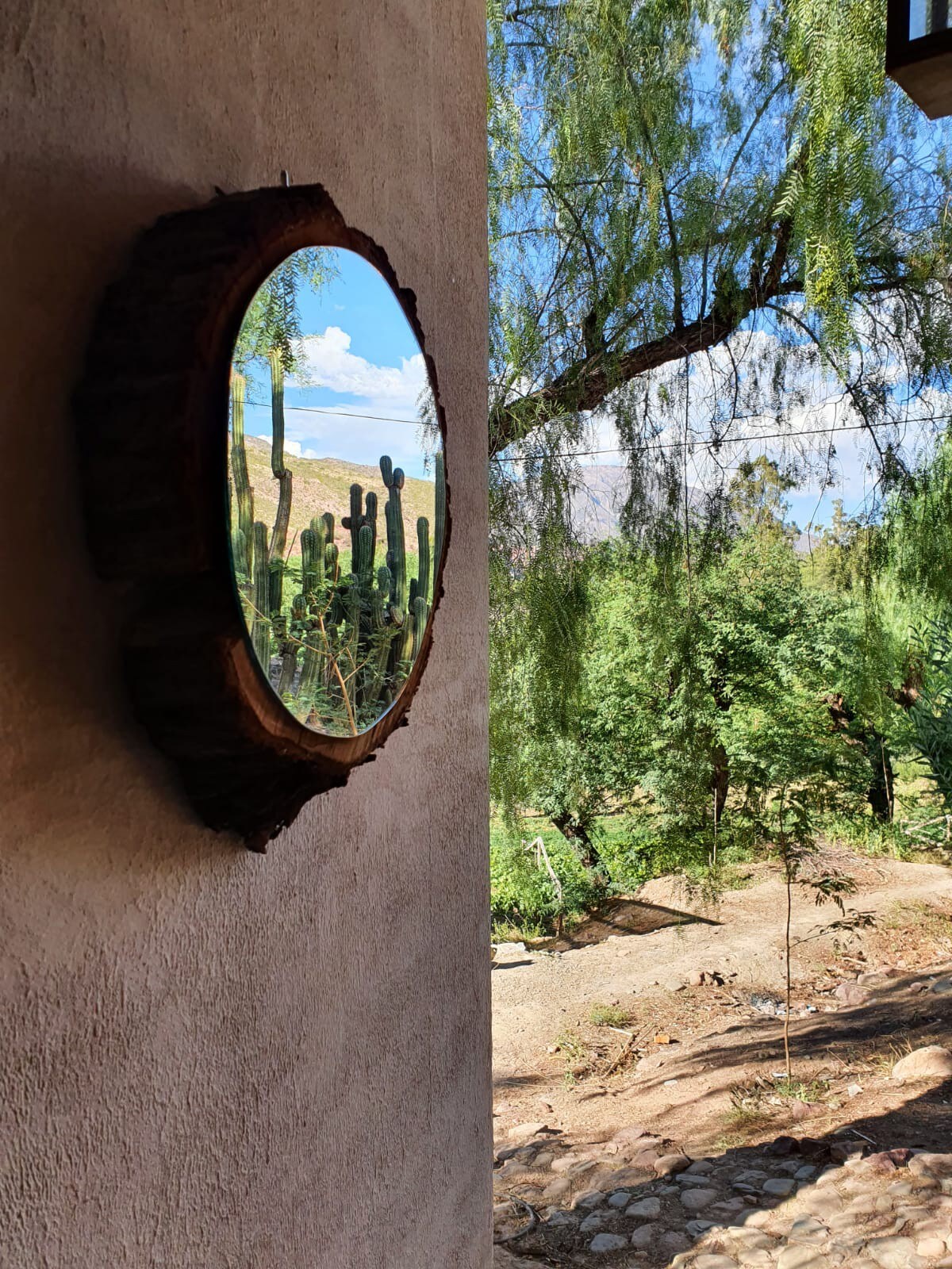 Mi Huerta ， Hacienda Los Cactus - El Papagayo