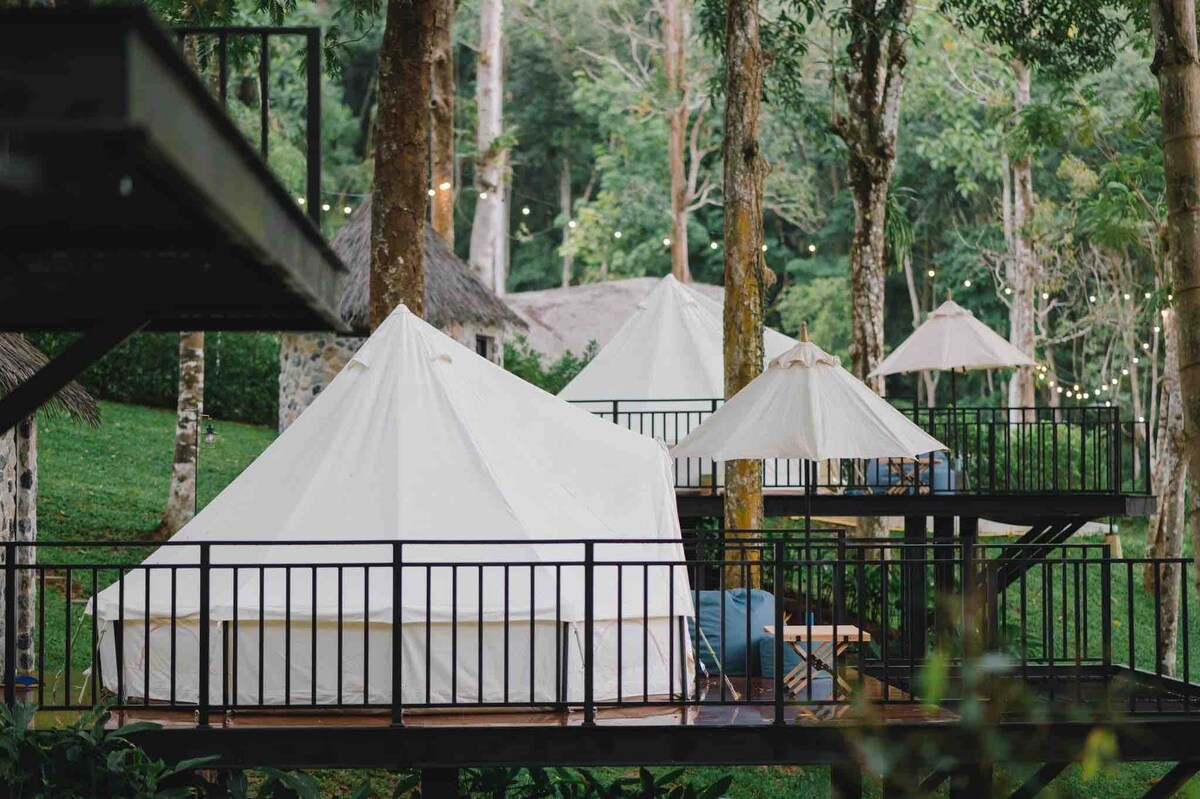 Delightful tent in tropical jungle