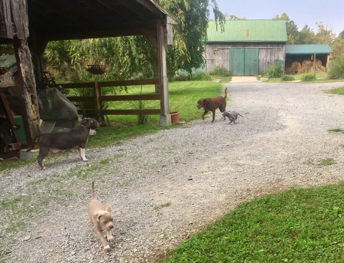 The Hay Loft 
Brand New!  
23 acre, horses, creek