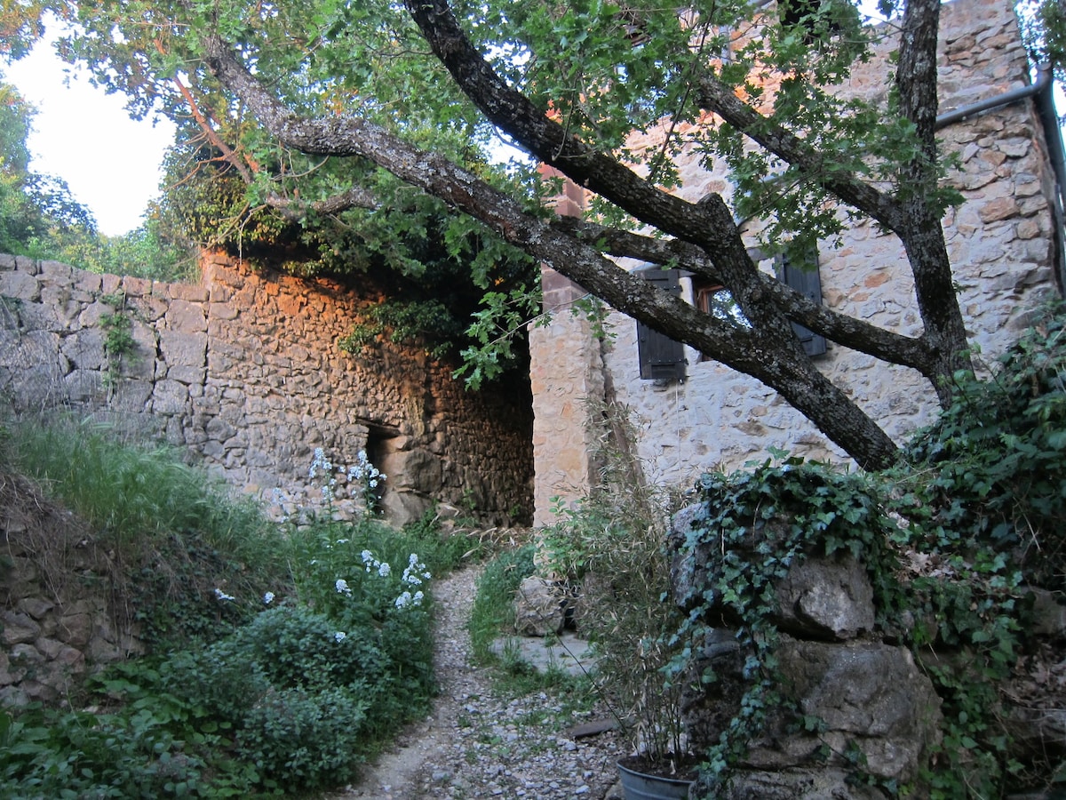 Lac de Ste Croix, House in Provence, Bauduen