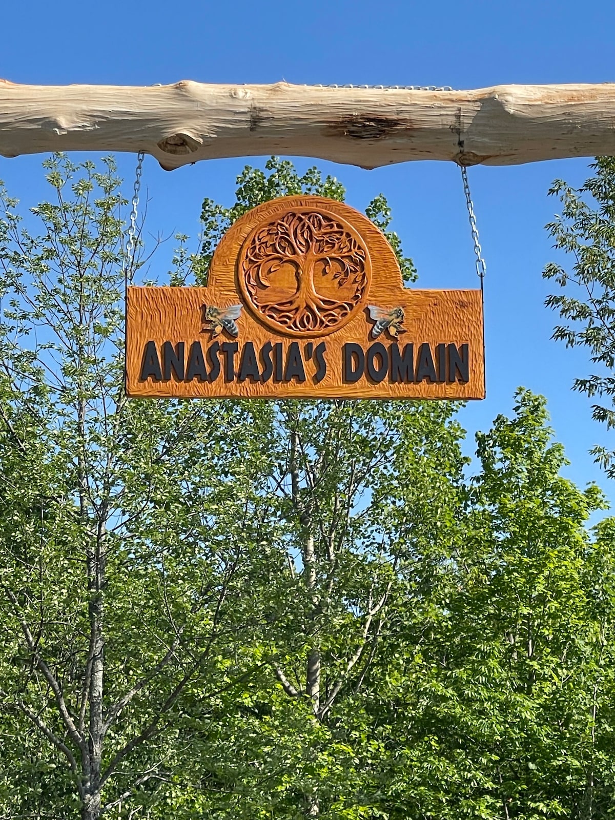 Anastasia 's Domain 2
