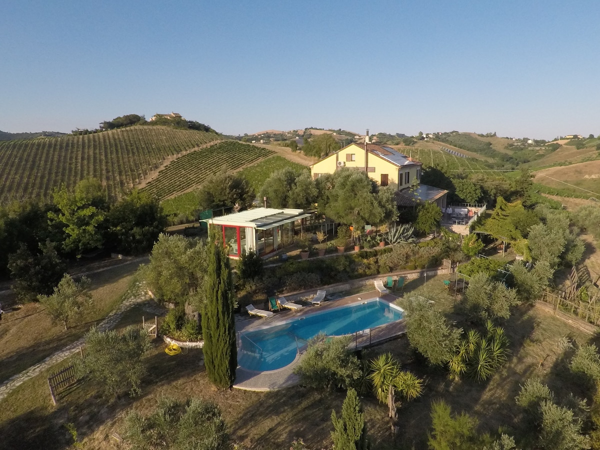 Marche乡村泳池的豪华别墅，免费葡萄酒