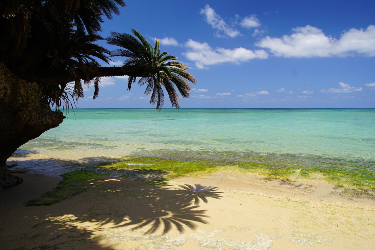 La Terrasse Kookaï La Terrace海景，秘密海滩