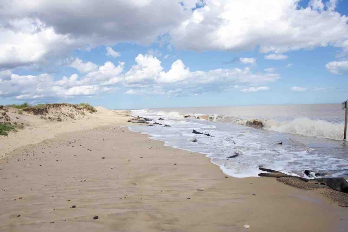 Skylark: cosy chalet - unspoilt dog friendly beach