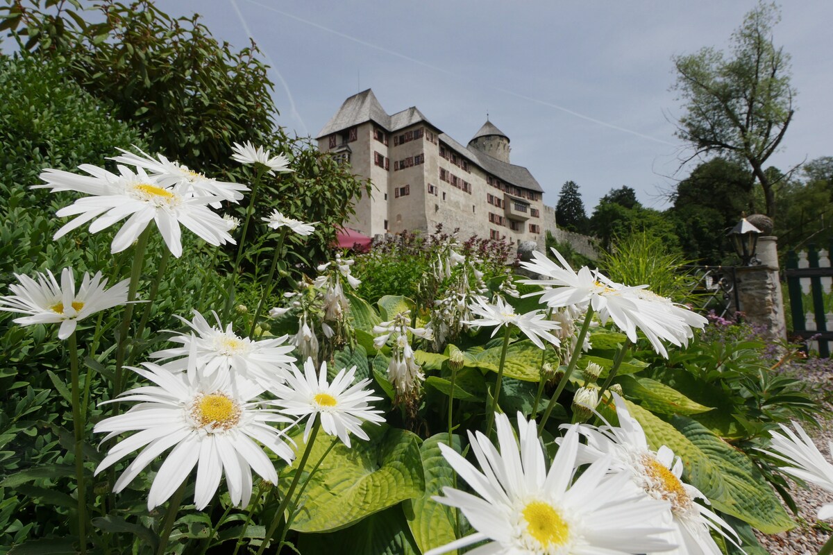 Schloss-Appartment Matzen