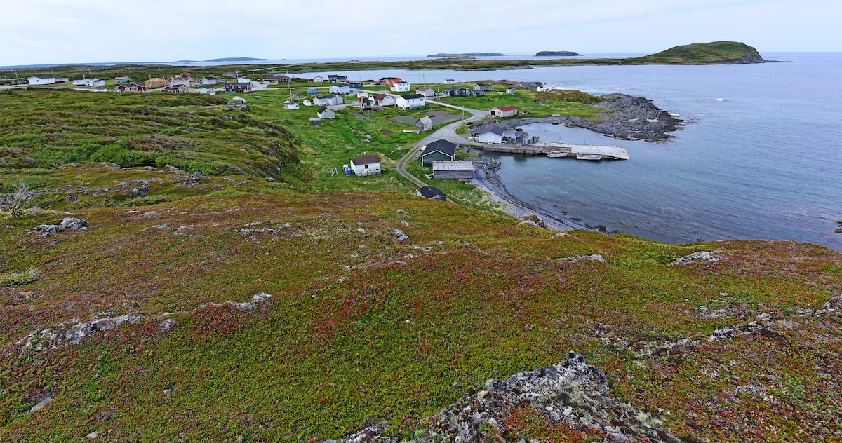 The Snorri Room at the Viking Nest B&B