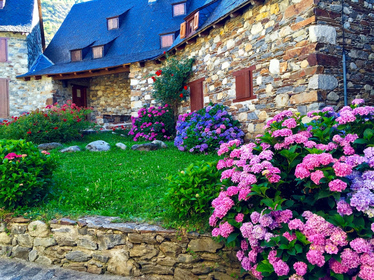 Casa TOP para 14 personas en Garós. Ideal esquí