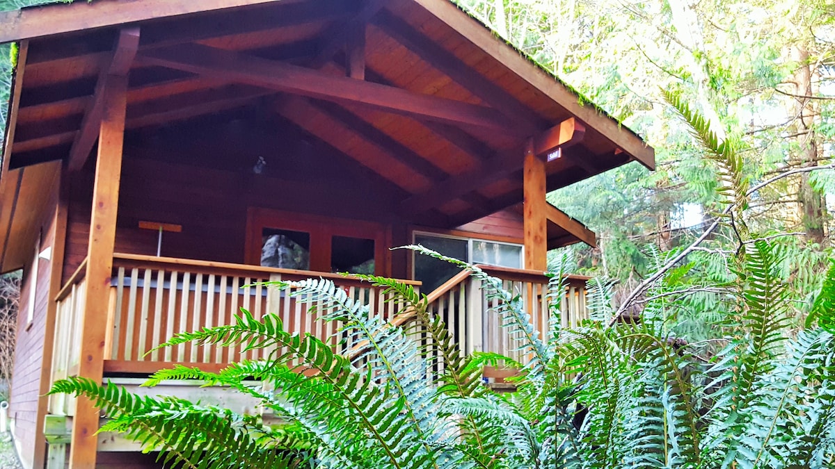 Evergreen Rainforest Cabin - Salal