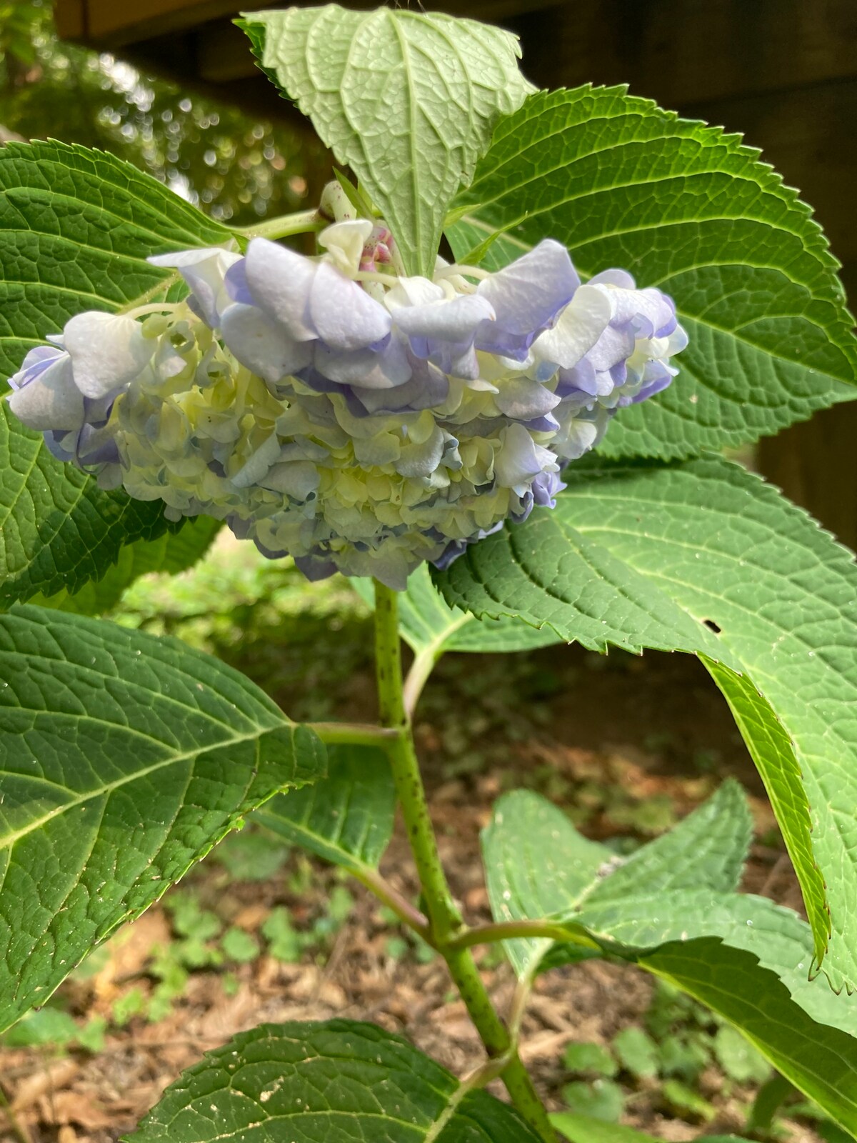 巴尔的摩附近的豪华2卧室公寓