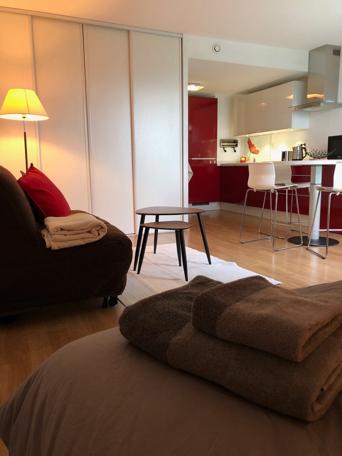 日内瓦边境的舒适单间公寓Ferney-Voltaire