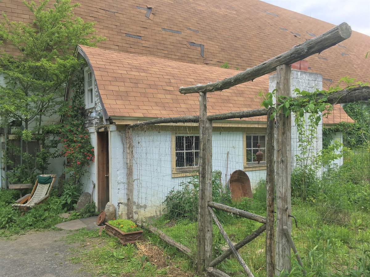 Dave 's Milk Barn