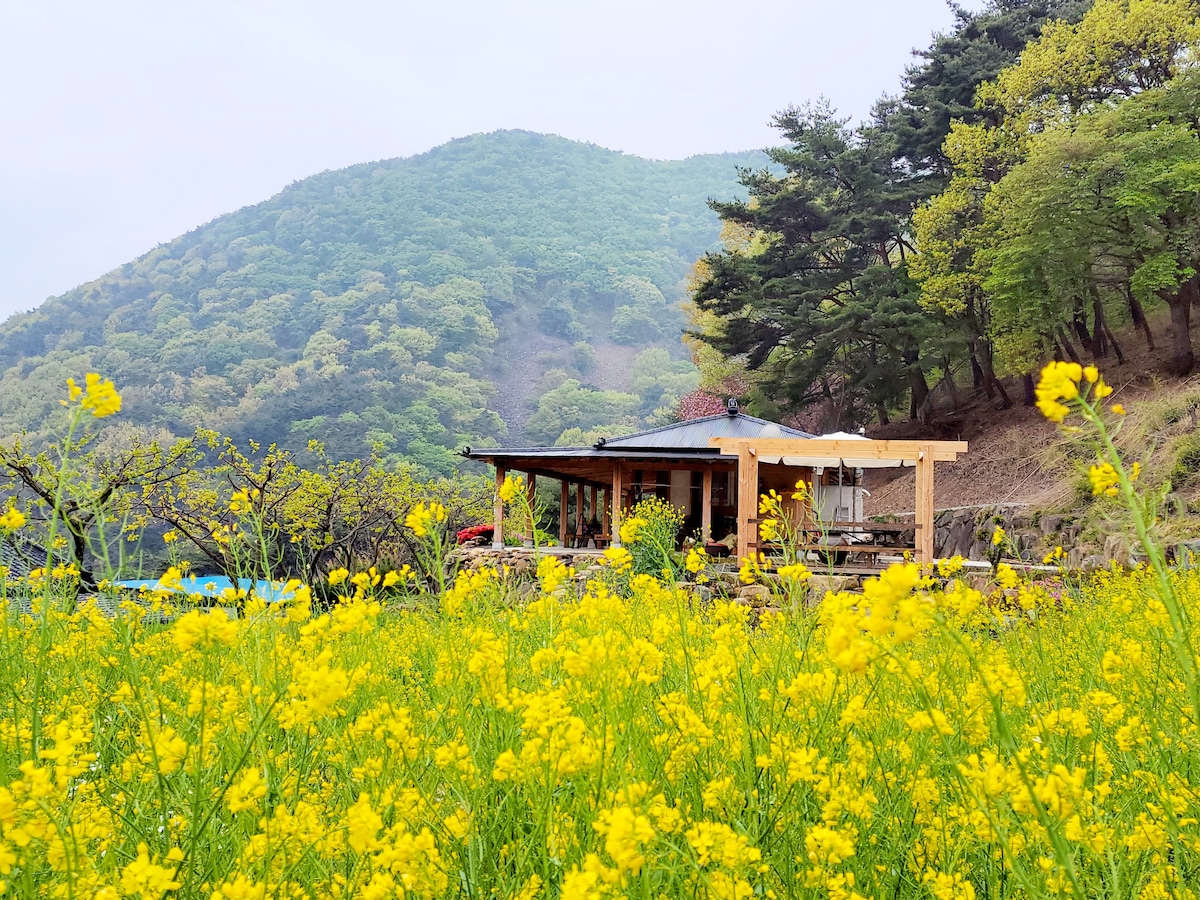 햇살,바람,그리고 감동이 전하는  만점농원민박