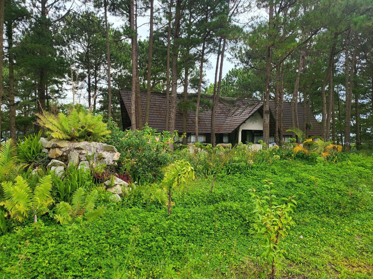 大富山（ Da Phu hill ） 5英亩农场上的别墅房间