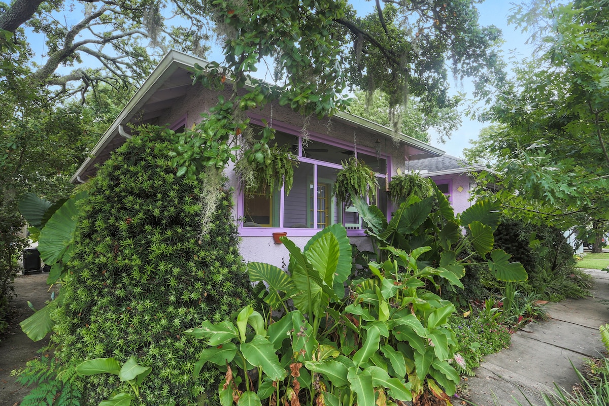 The Purple House by Tulane