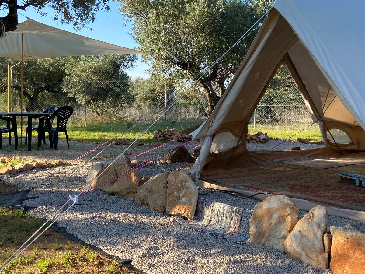 Spacious Paraiso Bell Tent, fully furnished.