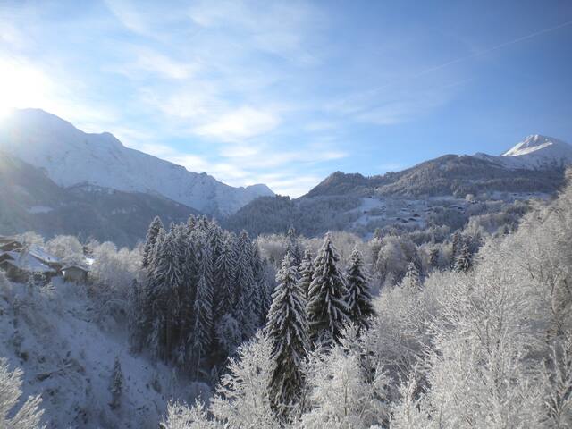 Saint-Gervais-les-Bains的民宿